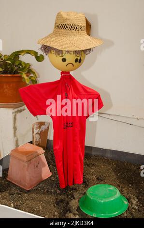 Scarecrow pour empêcher les oiseaux de manger des plantes dans une culture. Las Palmas de Gran Canaria. Grande Canarie. Îles Canaries. Espagne. Banque D'Images