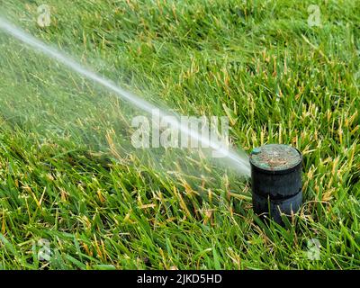 Gros plan de la tête sprinkleur souterraine dans de l'herbe verte avec un jet d'eau Banque D'Images