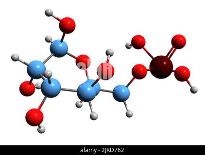 3D image de la formule squelettique mannose 6-phosphate - structure chimique moléculaire du métabolite isolé sur fond blanc Banque D'Images