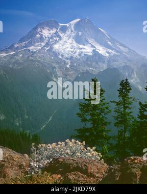 Mt. Rainier de Gobblers Knob, Washington Banque D'Images