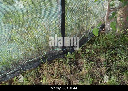installation d'un filet d'ombrage sur une clôture grillagée 9638230 Photo  de stock chez Vecteezy