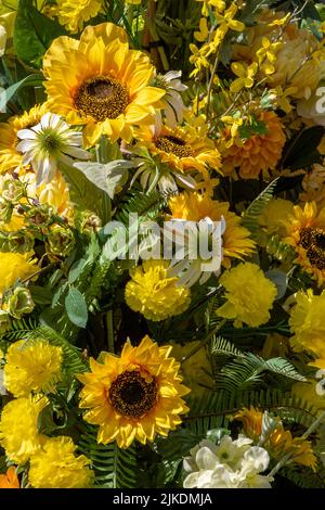 tournesol jaune vif coloré dans un grand écran floral, tournesol géant jaune et vert, arrangement de fleurs avec des tournesol jaunes géants. Banque D'Images