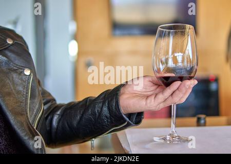 main de l'homme tenant un verre de vin rouge. visite d'un domaine viticole à mendoza en argentine. Dégustation de vins. Mise au point sélective Banque D'Images