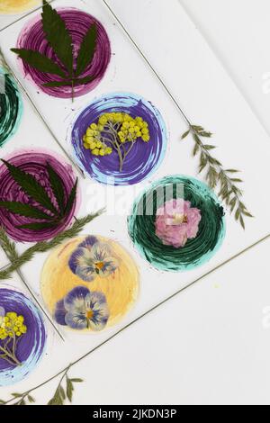 Art moderne floral pressé botanique. Floristry pressé Oshibana dans le style boho. Boules multicolores et plantes séchées sur un bac blanc Banque D'Images