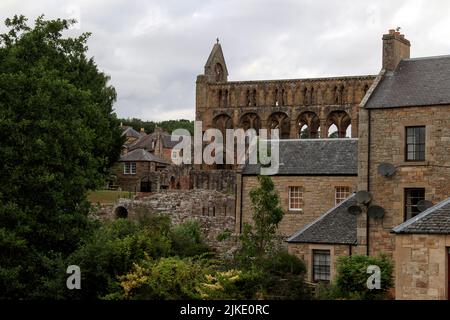 Ruine écossaise, ruine de l'abbaye, ruines de l'abbaye de Jedburgh, une abbaye augustinienne dans les Scottish Borders, Écosse, Royaume-Uni Banque D'Images