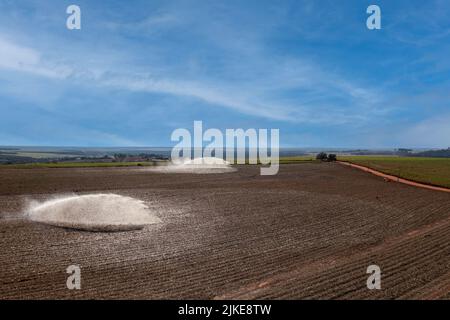 Irrigation dans le champ de canne à sucre nouvellement planté par un jour ensoleillé au Brésil - vue de drone Banque D'Images