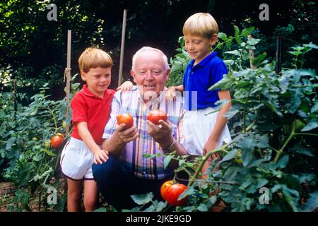 1990S HOMME À GENOUX ENTHOUSIASTE GRAND-PÈRE MONTRANT DEUX PETITS-FILS MÛRS DE TOMATES ROUGES DANS LE JARDIN FAMILIAL - KG11274 NET002 FRÈRE DE HARS VIEILLE MODE 1 JUVÉNILE STYLE DE VISAGE COMMUNICATION INFORMATION GRAND-PÈRE GRANDS-PARENTS HEUREUX FAMILLES JOIE STYLE DE VIE SATISFACTION AÎNÉ GRAND-PARENT FRÈRES MONTRANT LA MAISON VIE COPIE ESPACE AMITIÉ PERSONNES HOMMES FRÈRES ET SŒURS SENIOR HOMME SENIOR EXPRESSIONS ADULTES AGRICULTURE AGENOUILLEMENT BONHEUR VIEILLESSE OLDSTERS GAI OLDSTER DÉCOUVERTE PETITS-FILS MÛRS FIERTÉ ENTHOUSIASTE À LA SŒUR SOURIRES AÎNÉS CONNEXION GRANDS-PÈRES JOYEUSE TOMATES VIEUX HOMME CROISSANCE JEUNES Banque D'Images