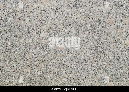 arrière-plan gris granite. Photo verticale. Peut être utilisé pour vos fantasmes de colombe Banque D'Images