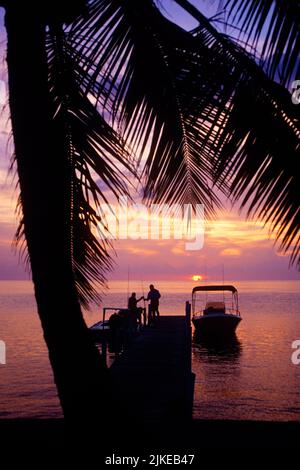 1990S UN COUCHER DE SOLEIL VU DU QUAI D'UN RESORT MOTEL FLORIDA KEYS FLORIDA USA - KR92371 NET002 HARS STYLE DE VIE FEMMES LUXE ÉTATS-UNIS COPIE ESPACE FEMMES PERSONNES PITTORESQUE INSPIRATION ÉTATS-UNIS D'AMÉRIQUE DOCK MÂLES MOTEL SÉRÉNITÉ SILHOUETTES TRANSPORT FRONTIÈRES AMÉRIQUE DU NORD NORTH AMERICAN RESORT TIME OFF BONHEUR SILHOUETTED VOYAGE ESCAPADE LOISIRS VACANCES CONCEPTUEL ÉLÉGANT CALME ARBRE DE PAUME ANONYME FL BATEAU À MOTEUR PALMIERS DÉTENTE TOGETHERNESS VACANCES À L'ANCIENNE Banque D'Images