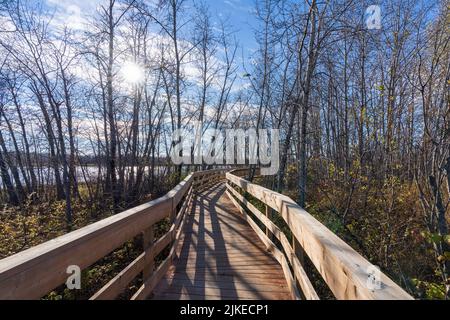 Sentier de randonnée en bois sur le rivage du lac Noranda. Rouyn-Noranda, Abitibi-Témiscamingue, Québec, Canada. Banque D'Images