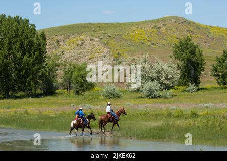 Deux cow-boys et un enfant à cheval traversent la rivière Little Bighorn, Crow Agency Montana Banque D'Images