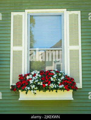Boîte de fenêtre remplie de fleurs d'Impatiens rouges et blanches avec fenêtre reflétant une autre maison Banque D'Images