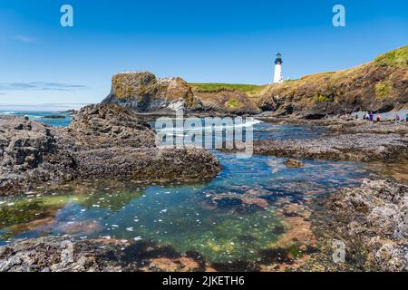 Phare de Yaquina Head et bassins de marée vus de la plage d'Agate, dans le nord-ouest du Pacifique Banque D'Images