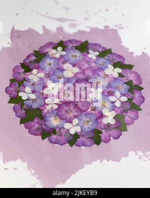 Art moderne floral pressé botanique Oshibana floristry pressé en style boho, une composition de plantes sèches et des éclaboussures de vin rouge sur fond blanc. Banque D'Images