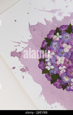 Art moderne floral pressé botanique Oshibana floristry pressé en style boho, une composition de plantes sèches et des éclaboussures de vin rouge sur fond blanc. Banque D'Images