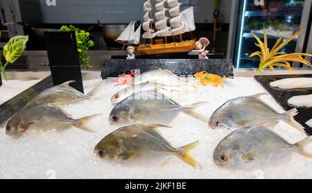 Poisson de Pomfret d'argent sur la glace vendre sur le marché. Banque D'Images