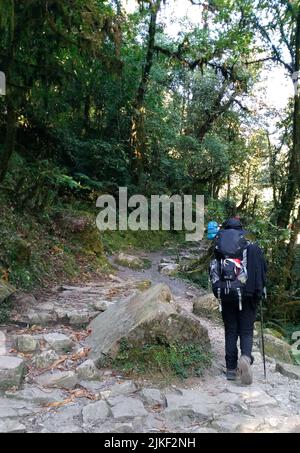 Chomrong, Népal - 08 novembre 2017 : en route vers le camp de base d'Annapurna au Népal Banque D'Images