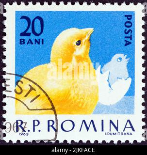 ROUMANIE - VERS 1963 : un timbre imprimé en Roumanie dans le numéro « volaille domestique » montre Chick, vers 1963. Banque D'Images