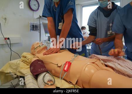 Étudiants en anesthésiologiste lors d'un exercice de réanimation en situation critique à la Faculté de médecine de Nimes. Les étudiants s'entraînent sur un mannequin robotique SIM Man 3 G. Banque D'Images