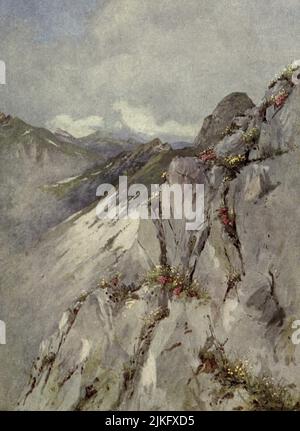 ALPINS SUR LES ROCHERS CALCAIRES DES ROCHERS DE NAYE, AVEC LES MONTAGNES DE GRUYÈRE EN ARRIÈRE-PLAN, AU DÉBUT DU MOIS DE JUILLET, du livre « fleurs et jardins alpins » peint et décrit par George Flemwell, Date de publication 1910 Editeur Londres, A. & C. Black Banque D'Images