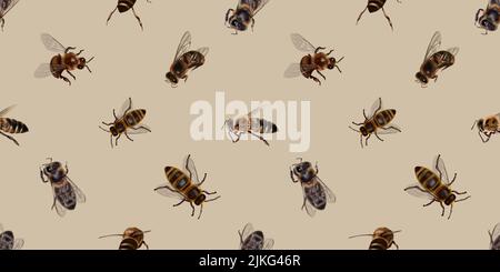 Motif aquarelle sans coutures des abeilles. Illustration réaliste des abeilles Banque D'Images