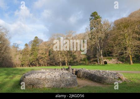 Parc MCG long cairn, tombe géante, Gower, pays de Galles, Royaume-Uni Banque D'Images