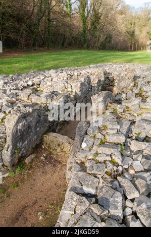 Parc MCG long cairn, tombe géante, Gower, pays de Galles, Royaume-Uni Banque D'Images