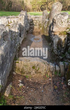 Parc MCG long cairn, tombe géante, Gower, pays de Galles, Royaume-Uni Banque D'Images