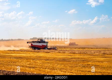 Une moissonneuse-batteuse récolte du pain dans un champ agricole. Récolte du blé. Banque D'Images