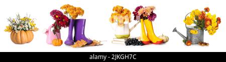 Ensemble d'outils de jardinage, fleurs d'automne et citrouilles sur fond blanc Banque D'Images