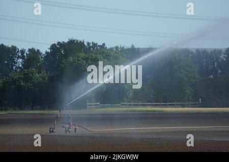 Irrigation d'un champ fraîchement semé en été à Hesse, en Allemagne. La fontaine de pulvérisation lutte contre la sécheresse pour sauver la récolte. Banque D'Images