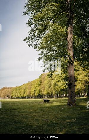 Une photo verticale du parc du domaine national de Marly à Marly-le-Roi, en France, au printemps Banque D'Images