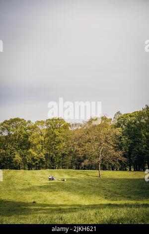 Une photo verticale du parc du domaine national de Marly à Marly-le-Roi, en France, au printemps Banque D'Images