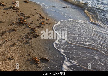 a close up shot of beach shore Banque D'Images