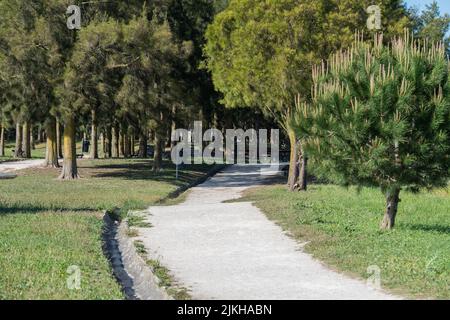 Une vue panoramique d'un chemin traversant une forêt dense dans le parc urbain de Santa Iria d'Azoia à Loures, Portugal Banque D'Images