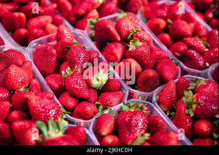 Un gros plan de fraises rouges mûres dans des récipients en plastique dans une rangée sur le marché de Valence, Espagne Banque D'Images