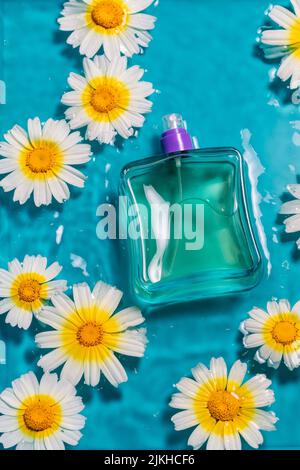 Un cliché vertical d'une bouteille de parfum sur l'eau entourée de pâquerettes sur fond bleu avec un espace de copie Banque D'Images