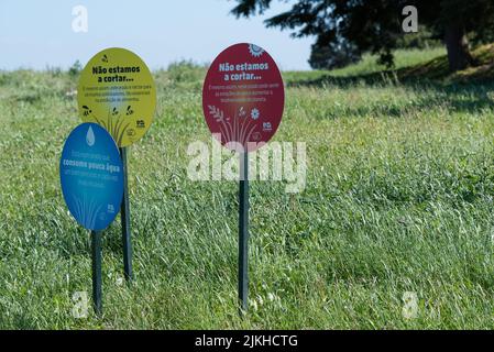 An information about the space where pollinating insects find a food source Stock Photo