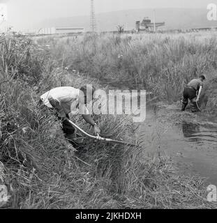 1950s, historique, deux travailleurs utilisant un appareil d'aspiration portatif pour draguer le fond d'une petite rivière près d'un site industriel, Port Talbot, pays de Galles, Royaume-Uni. Le dragage est un terme utilisé pour nettoyer le lit d'une rivière de boue, de limon et d'autres matériaux, pour diverses raisons, dont l'une est d'améliorer le débit d'eau. Banque D'Images