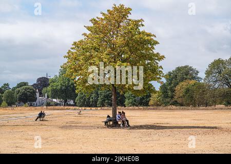 Wimbledon , Londres, Royaume-Uni 2 août 2022. Les gens qui se ranchent sous un arbre sur Wimbledon Common couvert d'herbe coupée par temps chaud et humide, car le temps chaud devrait revenir avec des températures élevées exeding 30celsiusCredit. amer ghazzal / Alay Live News Banque D'Images