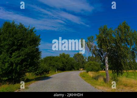 Route de campagne pavée en été en Allemagne, peu de nuages dans le ciel Banque D'Images