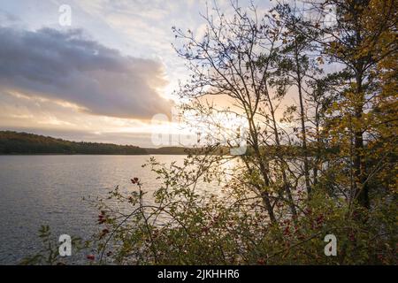 Vue en automne au coucher du soleil sur le petit lac Küchensee à Ratzeburg, Allemagne. Banque D'Images