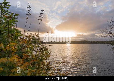 Vue en automne au coucher du soleil sur le petit Küchensee à Ratzeburg, Allemagne. Banque D'Images