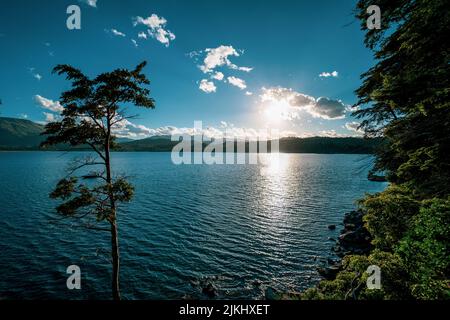 A mesmerizing seascape view surrounded by high dense trees and mountains in the background Stock Photo