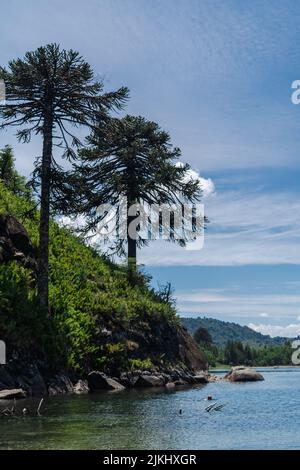 A mesmerizing seascape view surrounded by high dense trees and mountains in the background Stock Photo