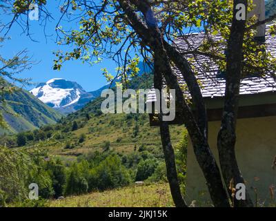 Une belle photo d'un arbre, de collines verdoyantes et de montagnes enneigées à Champagny-le-Haut, en France avec un ciel bleu Banque D'Images