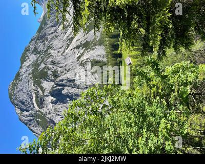 Vue sur Kasenalm et Heissenkopf à Hinterautal, randonnée, nature, montagnes, ciel bleu, Activité, parc naturel de Karwendel, montagnes de Karwendel, Leutasch, Seefeld, Mösern, Reith, Scharnitz, Haut plateau du Tyrol, Tyrol, Autriche Banque D'Images