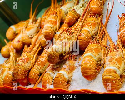 Homard d'orange cuit exposé dans un magasin de fruits de mer Banque D'Images