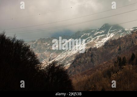 An aerial shot of dense forest in background of snow covered  mountains going Maslana village Stock Photo