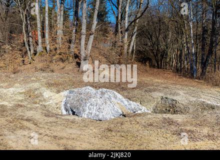 A photo of a rock of salt on the ground in a forest Stock Photo